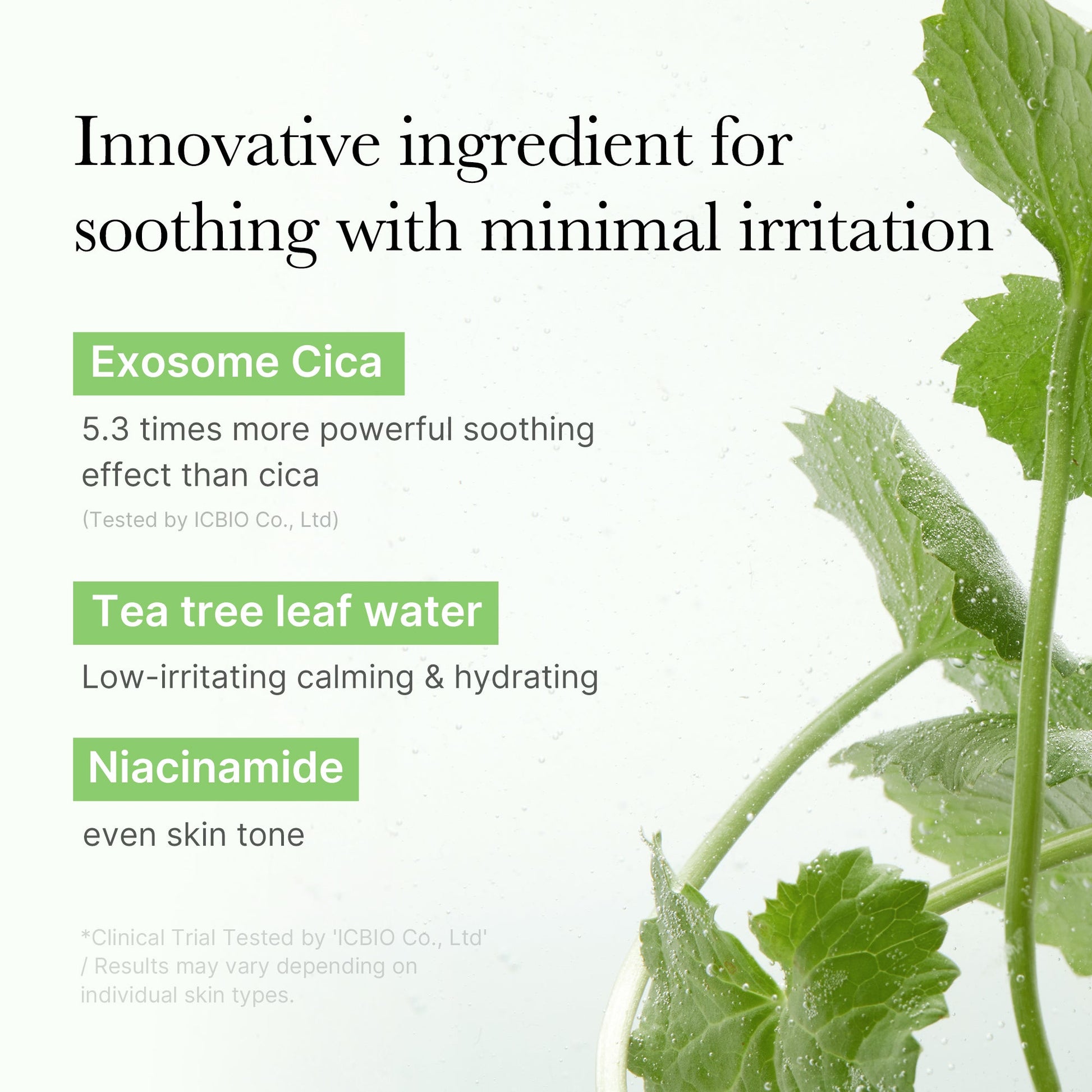 exosome-cica-calming-toner-pads-y9 03_d73c7e58-fe02-42b9-8dfe-6db8bcfc4a9d.jpg